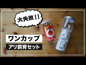 [This is no good!] Can you make an ant breeding cage using a cup?! [Homemade ant breeding kit]