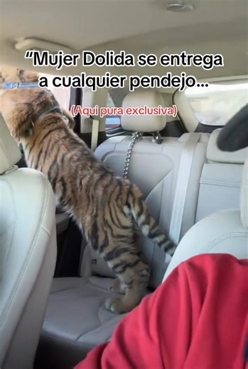 ##paratiiiiiiiiiiiiiiiiiiiiiiiiiiiiiii @ | mujer dolida se entrega