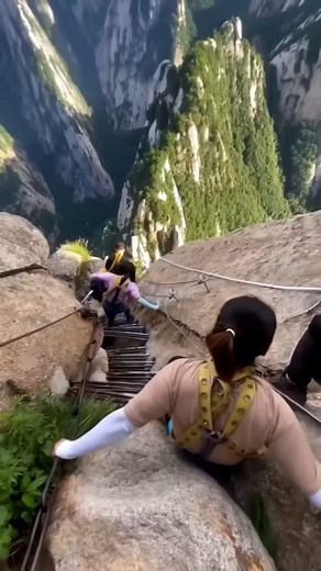 Pushpendra Parashar on Reels