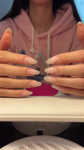 Ladybug Nail Art Set for Beginner Nail Technicians