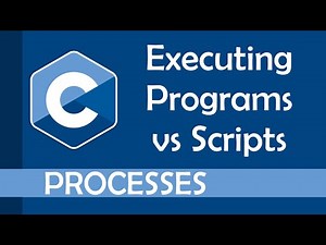 Executing programs vs executing scripts in C