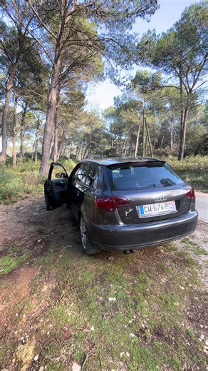 Installing a TRF Audio Subwoofer and Amplifier Setup