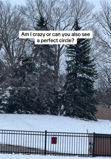 A perfect circle, made by chance? Tell me you see it too!! #opticalillusion #nature #canyouseeit #portal #illusion