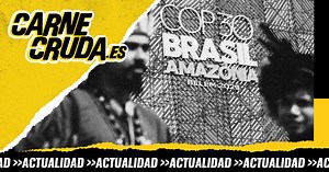 Amazonas Prime: esta selva no se vende