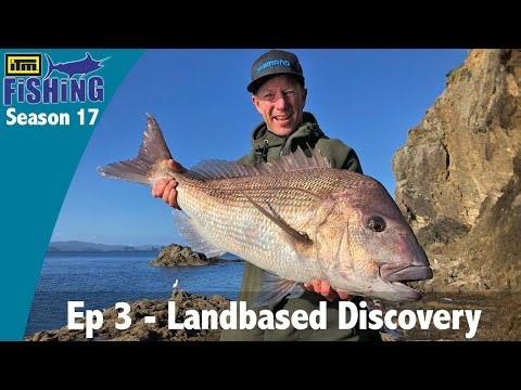 Rock Fishing for Snapper and Kingfish
