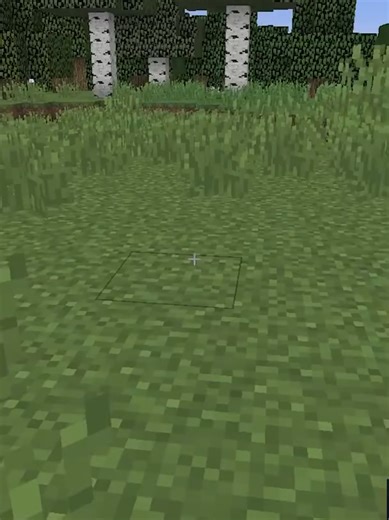 The Best Nether Portal