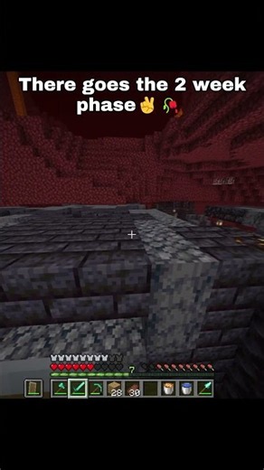 There goes the 2 week phase ✌️ #minecraft #minecraftshorts #minecraftmemes