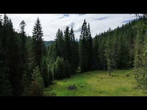 NNA BEAVER CREEK RD. Wallace, Idaho 83873-MLS#:25-2807