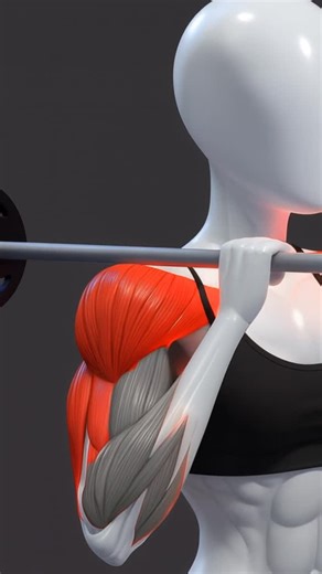 Home Workout App on Instagram: "Define Your Shoulders Like Never Before 👉 Download @fitonomyapp — link in bio. Build strong, well-rounded shoulders with this barbell-focused routine. Start with shoulder-to-shoulder presses for overall strength, move into front-to-back presses for control, add supinated front raises for anterior delts, upright rows for width, and finish with bent-over barbell rows to support rear delts and upper back. Follow the reps and sets for best results. #shoulderworkout #