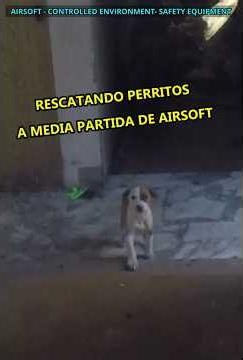 Rescuing puppies in an airsoft match