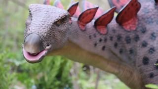 In one week, you can travel back millions of years to experience the thrill of the prehistoric age of dinosaurs! Journey along paths with full-scale, scientifically-accurate animatronic dinosaurs with realistic movements and roaring sounds, including 18 of the most fascinating dinosaurs. Get tickets in advance and save! ▶️jacksonvillezoo.org/dinosauria | Jacksonville Zoo and Botanical Gardens