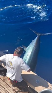 118K views · 2K reactions | Big blue Marlin #bluewater #topwaterfishing #fishing #tunafishing #fishingtrip #ocean #Giants #fishinglife #bluemarlin | Angler Mancing | Facebook