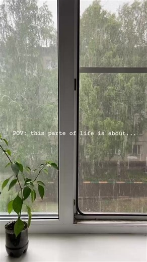 Embracing Daily Joy: A Simple Guide to Enjoy Life