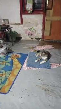 obrolan gabut SM kakak yg LG menggalau #masyaallahtabarakallah #minivlog