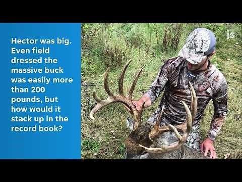 Wisconsin crossbow hunter gets the deer of a lifetime. Here's the story.