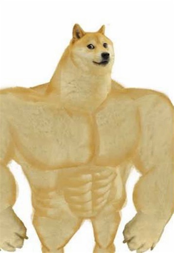 What Happened to Doge: Doge Meme & Dogecoin Nostalgia