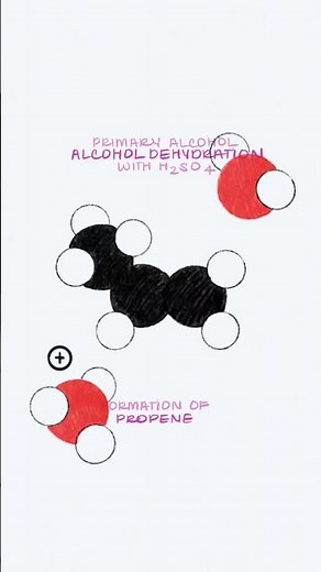 Dehydration of Primary Alcohols with Sulfuric Acid H2SO4 Organic Chemistry #mcatstudy
