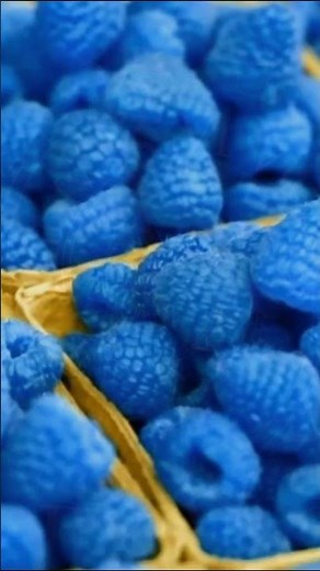 Is Blue Raspberry a REAL Fruit? 🤯 #foodmystery #blueraspberry #raspberry #blue #icecream