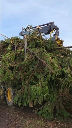 Ponsee maschine clean up the forest!🌳💪🌲