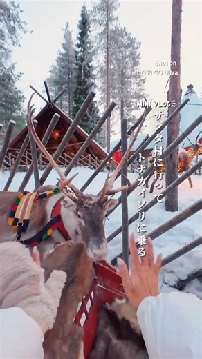 Ayane Motomitsu on Instagram: "🇫🇮サンタ村でトナカイソリする日のvlog ⁡ フィンランドのヘルシンキから ロバニエミのサンタ村に行って 念願のトナカイソリしてきた🦌 ⁡ ぽてぽて歩くトナカイさん めっちゃ可愛かった！ ⁡ 海外って電車遅れがちなイメージだけど ヘルシンキはしっかり時間通り来た！ ⁡ 📸 今回の撮影には @insta360_jp の GO Ultraを使ったよ！ 磁石でいろんなとこにくっ付けて 撮影できるから一人旅にも最適！ いつもと違った視点で 撮影したい人にもおすすめ！ ⁡ 🈹 2/5〜2/16の期間はバレンタインセールで GO Ultraが最大15%OFFで買えるらしい！ 詳細はハイライトのリンクをチェックしてね！ ⁡ #PR #insta360 #goultra #minivlog"