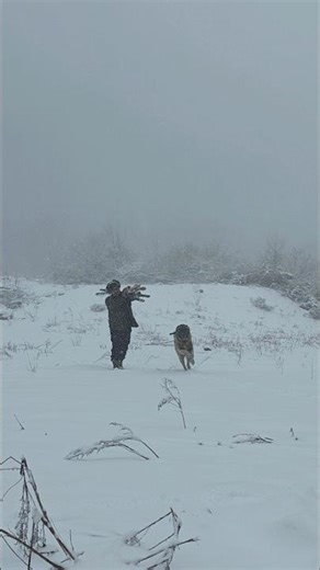 -20°C Survival: Catching & Cooking Fish with My Best Friend! 🎣🏔️