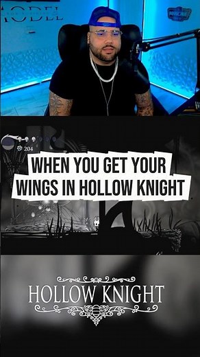 Monarch Wings In Hollow Knight are amazing!