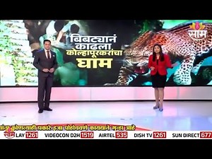 कोल्हापूर शहर बिबट्याचा थरारानं हादरलं! | Special Report | Kolhapur Leoparad Attack