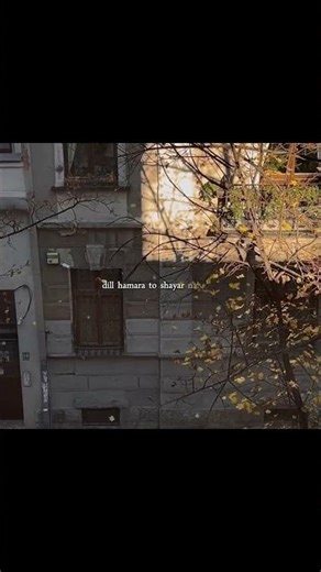 Hosh Bato Ka Aksar Nahi Tha | 💔💫 Aesthetic Status | Chill Vibezs