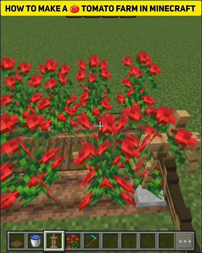 how to make a tomato farm in Minecraft,🍅🥳#minecraft #minecraftshorts