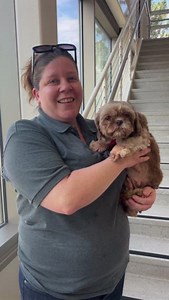 Meet Lolli! (#PM7635) Lolli is a 7-year-old Shih Tzu who came to us from our latest commercial breeding rescue. Lolli gets along well with children of all ages and would be a wonderful addition to any family! She is sweet and while a little timid, she warms up with a little affection and some yummy treats. 🐾 Lolli would love nothing more than to curl up in your lap for snuggles. If you're looking to add the perfect, loyal companion to your family - adopt Lolli at our Port Washington, NY adoptio