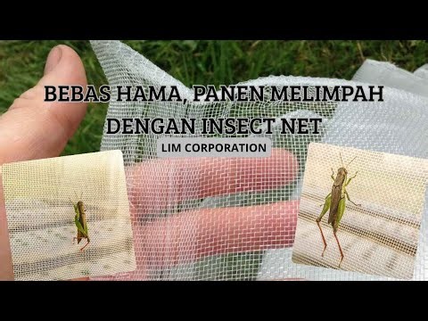 Selamat Tinggal Hama! Pasang Insect Net dan Panen Tanpa Takut.