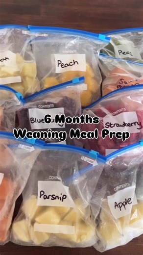 6 Month Weaning Meal Prep | Easy Freezer Stash Recipes