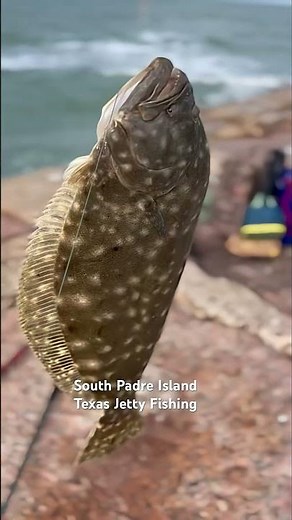South Padre Island Texas Jetty Fishing #fishing