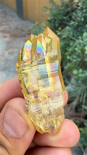 Minerals Wholesale | Khushall Gems Wholesaler on Instagram: "Beautiful Yellow and rainbows 🌈 Himalayan Quartz Crystal from Skardu Valley 🤍✨ 📩 DM for details or purchase. Benefits: Quartz is a stone of harmony, inspiration, and clarity — enhancing spiritual growth, wisdom, creativity, and focus. Also valued in relationships for promoting balance and understanding. Mineral Info: • Composition: SiO₂ (Silicon Dioxide) • Color: Colorless to pink, orange, purple, brown, or black • Luster: Vitreous 