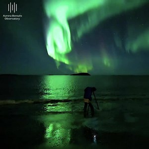631K views · 26K reactions | happy people under the aurora | Aurora Borealis Observatory | Facebook