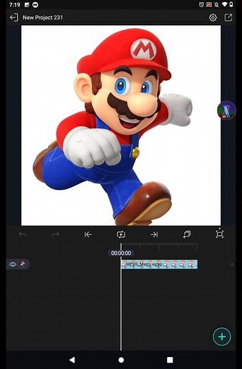 How To Make "‪@UrLocalMarioFanAdult‬'s Profile Picture"