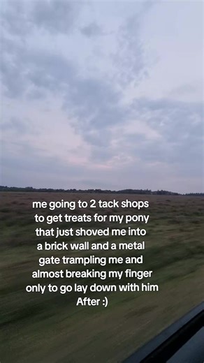 Healing a Bruised Finger After Pony Mishap