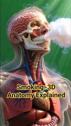 This Is What Smoke Does to Your Lungs, Blood & Brain (Real 3D Anatomy)