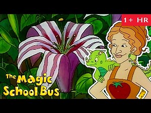 Summer in the Garden | Plant Biology | Full Episodes | The Magic School Bus | Scholastic Classic