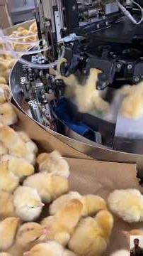 World’s Most Satisfying Factory Work 😍 #machines #factory #usa #technology #satisfying #innovation