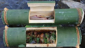 Technologie primitive : pêcher l'anguille et la cuire à la vapeur dans un délicieux tube de bambou