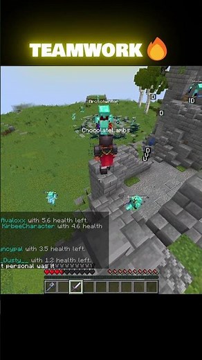 Minecraft Teamwork Makes The Dream Work!