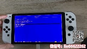 [教程]教你如何快速学会使用switch金手指