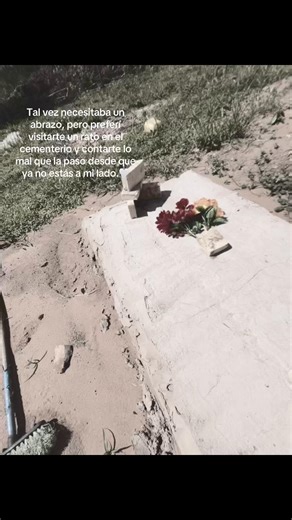 Hoy vine a ponerte al día. Te conté mis miedos🤍, mis nuevos logros y también lo mucho que me cuesta aceptar tu ausencia. Sé que me escuchás, lo siento en el viento y en la calma que me llevo cada vez que me voy de acá. No es fácil caminar sin tu guía, pero prometo seguir adelante llevando tu luz como mi bandera. Hasta que nos volvamos a ver😭💔