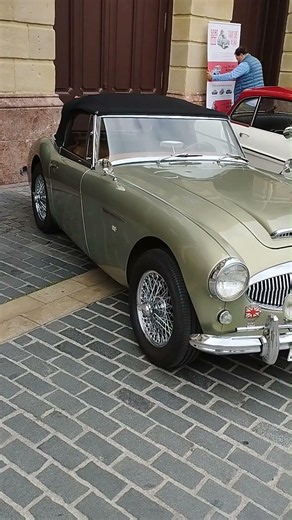 Austin-Healey 3000 (1959-67).