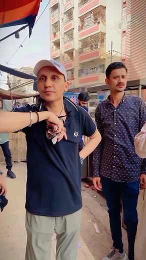 Discovering the Art of Sankey Diagram Creation