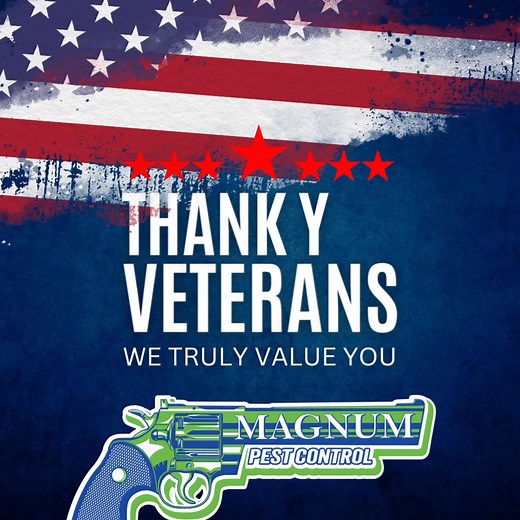 4K views · 74 shares | Magnum Pest Control Groveland, New York Call...