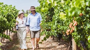 Aussie winemaker battles for insurance after $1.8m fire loss