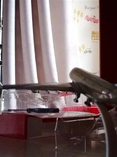 Unboxing My Etihad Airbus A380 20Cm Aircraft Model #etihada380#airbusa380#modelkapalterbang#aircraftmodel