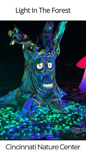 Light in the Forest is now open @cincynature ! 🎄 Get outside to experience the joy and peace of nature while you stroll through the one-mile illuminated trail that leads you past frozen ponds, fields and interactive light displays. 🦊 Don’t miss the new installations by regional artists, including 7 BLINK artists. 💡 We loved the wind chimes that made noise when you touched them and the frozen pond scene! 🐸 ✂️ There are family friendly activities throughout the trail including a craft area, bo